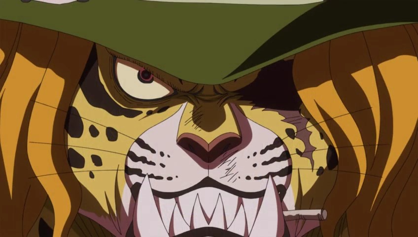 Episódio 849 | One Piece Ex